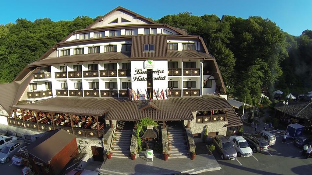 Hotel Fantanita Haiducului Bradu  Exterior photo